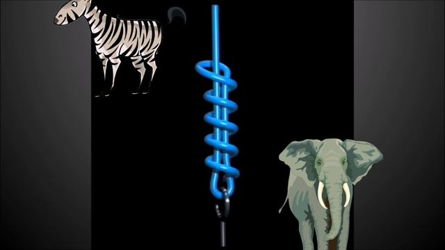 Узел Клин Сан Диего