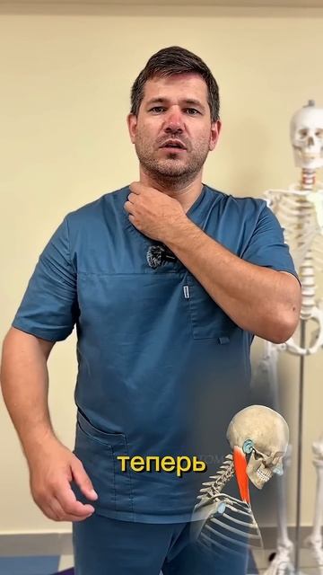 Одна мышца из-за которой у вас болят голова уши