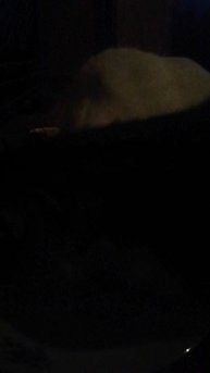 VID_20221227_061434
