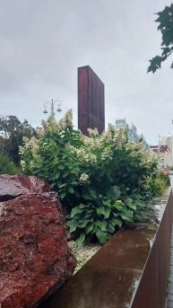 День города. Екатеринбург 2025