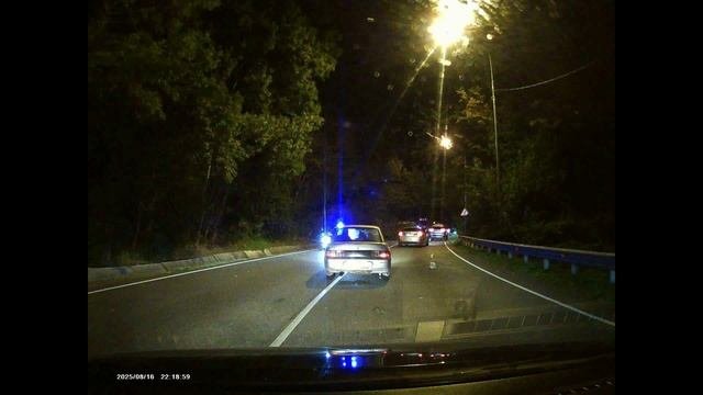 Дерево упало на дорогу в Сочи 16.08.2025 г.