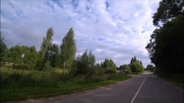 Радиальное кольцо.17 августа 2025 год.