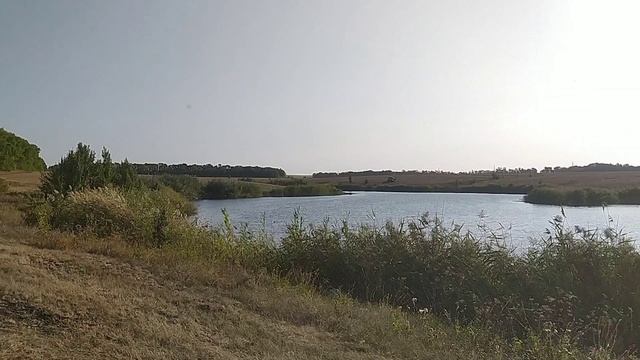 Просторы деревенские! Хоть стихи пиши👍