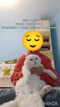 обнимаюсь с мейсоном :^