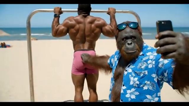 Орангутан возвращается Пляжный бездельник 2 veo3 ai юмор прикол [get-save.com]