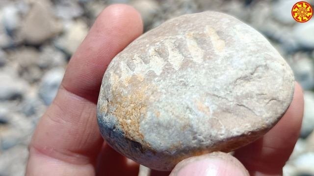 Отпечаток скелета в камне и немного интересного🔥🔥🔥