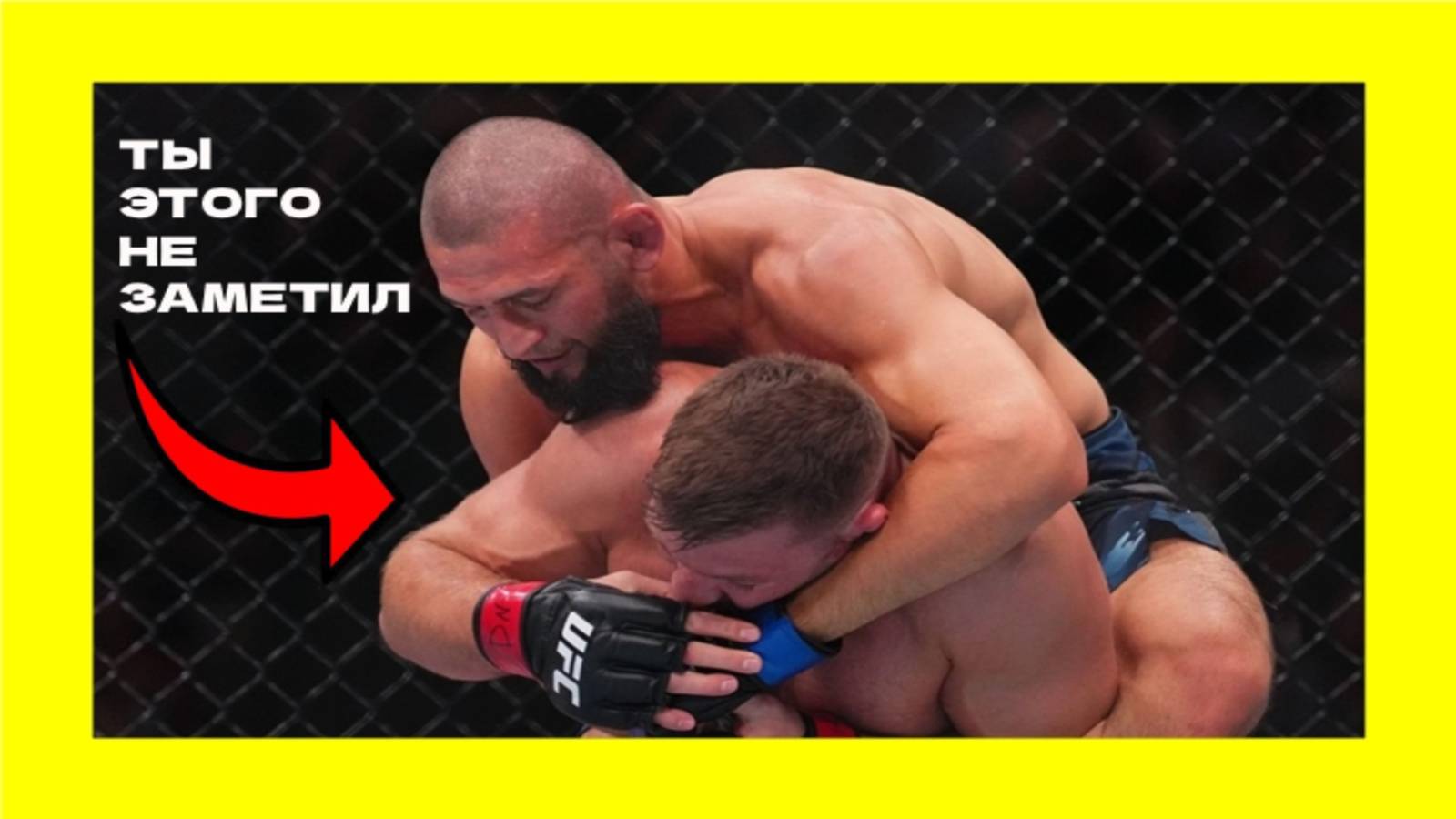 UFC 319: Дю Плесси Vs Чимаев: Что Стало Известно После Боя!