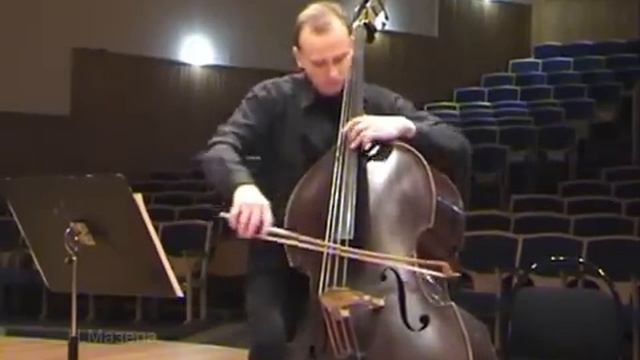 Струнные смычковые музыкальные инструменты. Автор видео: Звуки и голоса@Звукииголоса