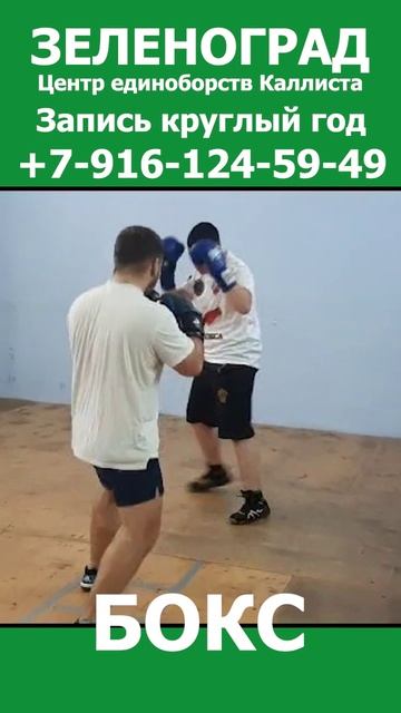 Зеленоград новости спорта весной. Школа бокса весной. Запись круглый год