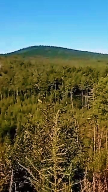 ДОРОГА ДО КЕМЕРОВО