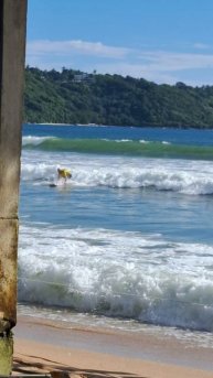 Такого я еще не видел!!!!