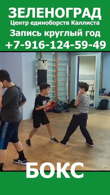 Зеленоград новости спорта. Школа бокса весной. Запись круглый год 4