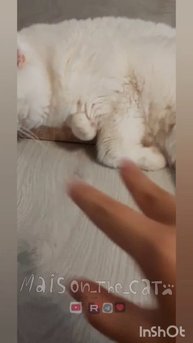 1000363643.mp4