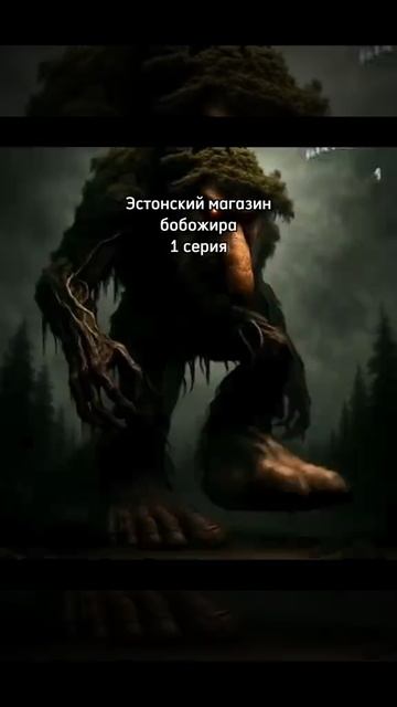 Эстонский магазин бобожира 1 серия
