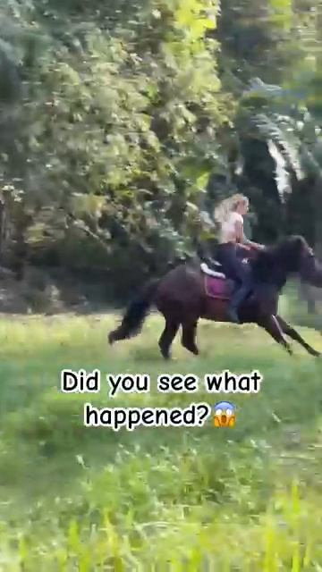 А вы заметили с первого раза что происходит?