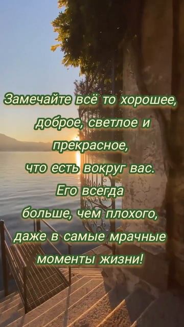 VID_20250817_104254_798.mp4