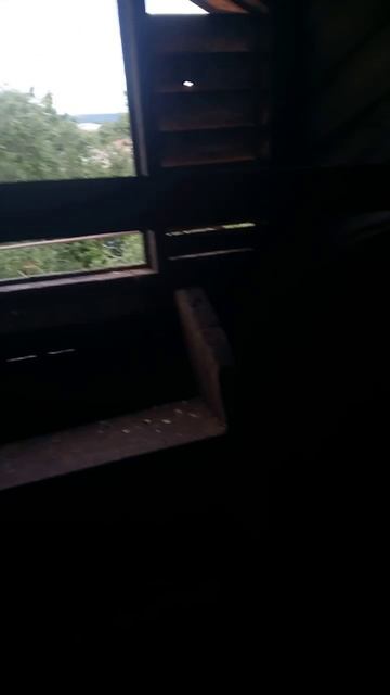 Лучшая работа в мире! А так, у меня свой бизнес 😂