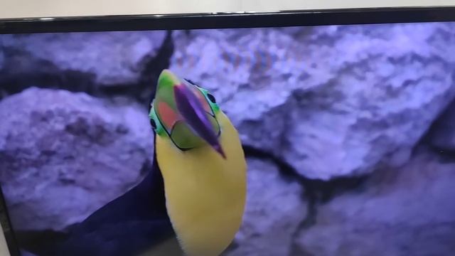 Видео №337294