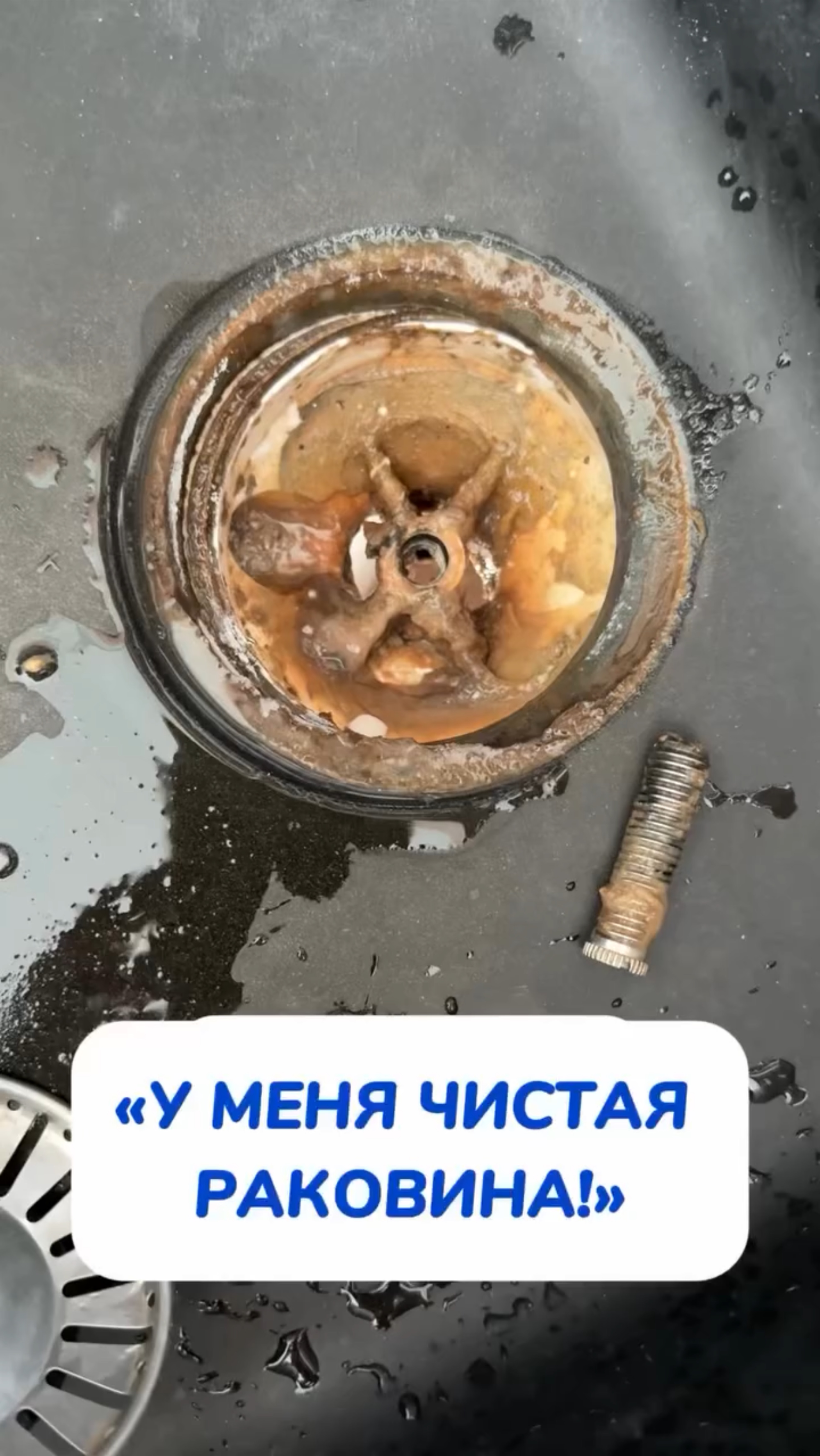 А как часто вы моете?