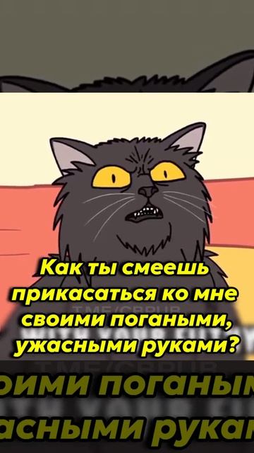 Умный кот Хитрый коте коварный кот