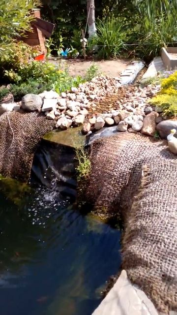 Майский пруд VID 20190526 104253