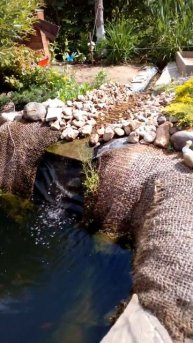 Майский пруд VID 20190526 104253