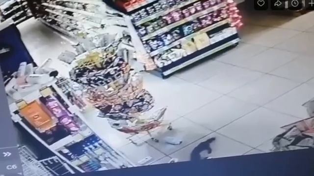 Сотрудники Fix Price уже два дня охотятся за пушистым посетителем