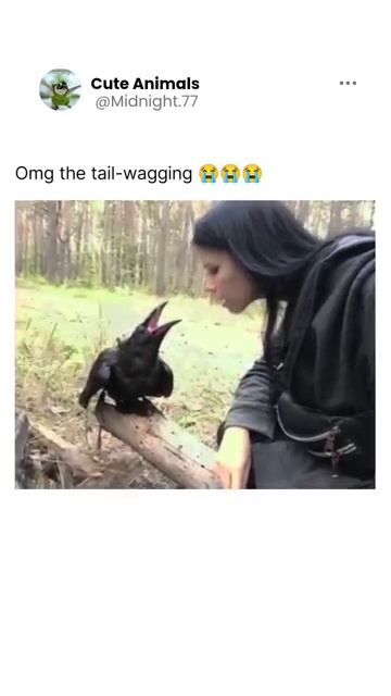 Разговор с вороном