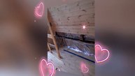 1000032368.mp4 (Собака смотрит на установку имитации бруса у э/щита в доме А-фрейм)