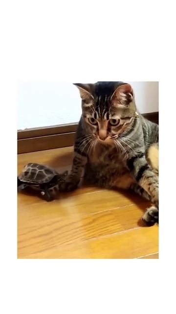 Скорость меняет всё