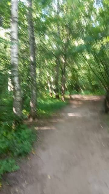 17.08.2025 год. Лесопарк Лосиный остров