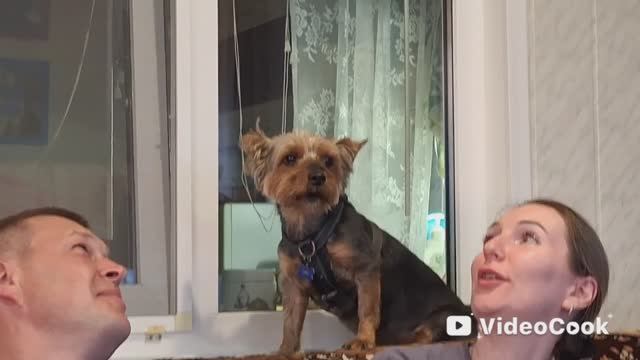 95/Любимая песня Баксюши "Врагу не сдаётся наш гордый Варяг"