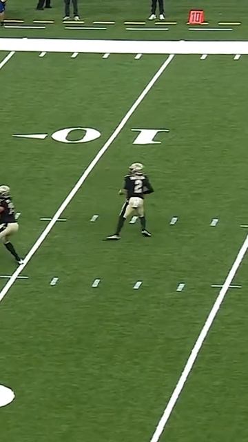 Never rattled, just rattler