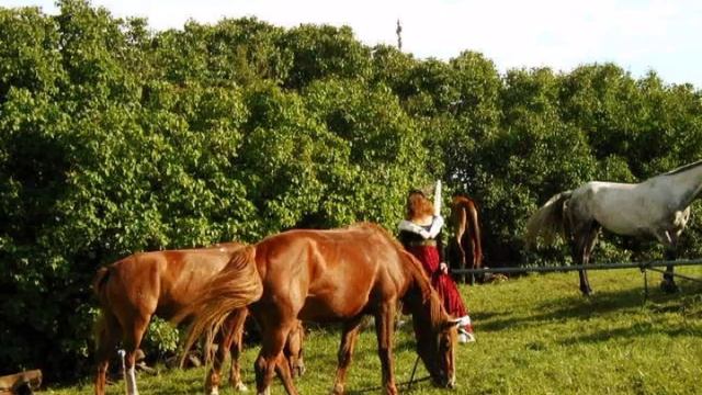 Куликово поле России. (серия наша большая страна) №45))) (7)