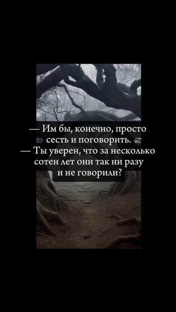 Полина Душина - LightHouse