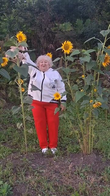 YouCut_20250817_224040262