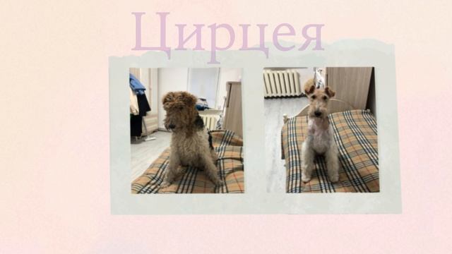 Фотоальбом