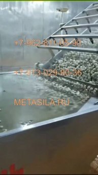 Линия по варке, очистки перепелиных яиц SIR-85