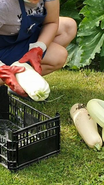 🔥 Новое видео уже на канале