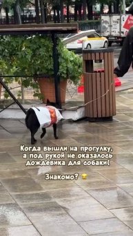 Ну а чо поделать🤷♀️, дождь))