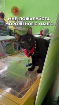 Продавец мороженого в Таиланде