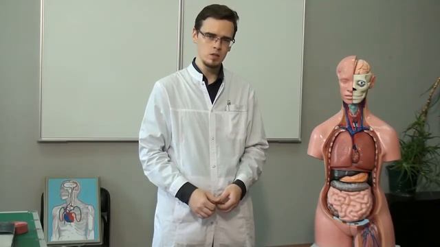 Первая помощь при ДТП №10 Влияние алкоголя на действия водителя