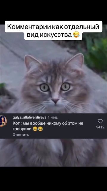 Любимая рубрика ❤️❤️❤️Комментарии как отдельный вид искусства 😂😂😂.mp4