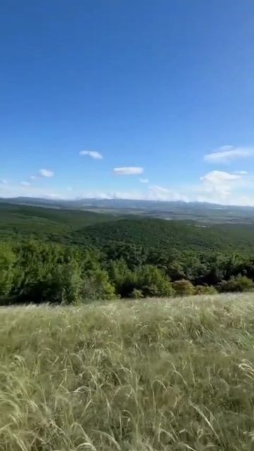 АНАПА‼️ Продажа земельных участков‼️