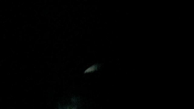 DEVOURMENT -  Parasitic Eruption  (Official Music Video)