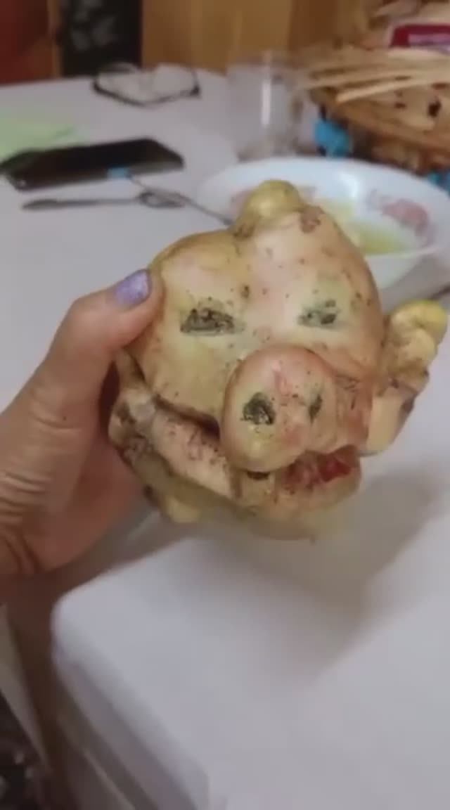 Картошка с лицом свиньи откопали в Суздале
