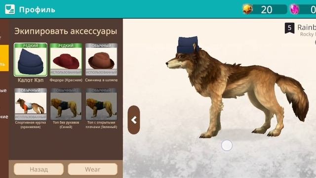 взросление радуги неба