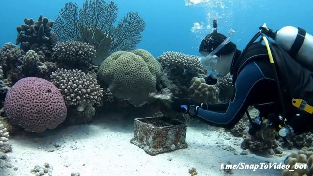 veo3 на глубине