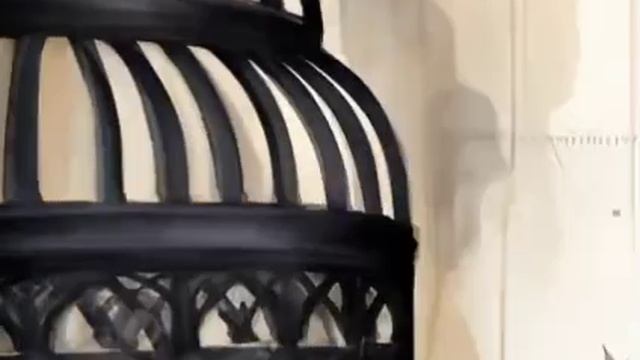 SABINA _ БОРЬБА.