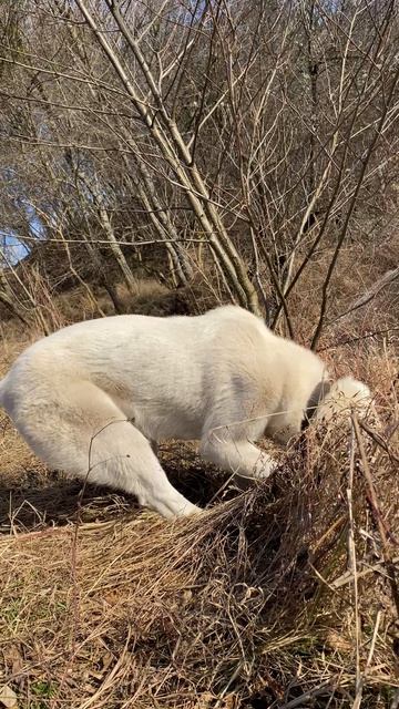 Разведка нового рыболовного места с лучшим другом